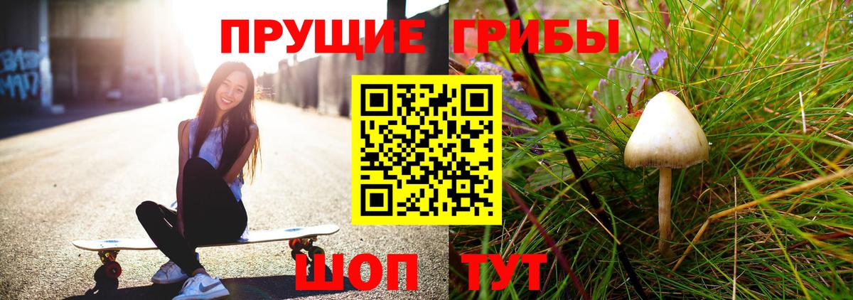 Галлюциногенные грибы прущие грибы Коломна